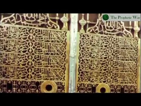نبیِ رحمت کی خدمت کرنے والا مقدس درخت - Muhammad Raza SaQib Mustafai