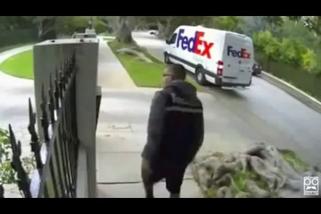 Shocking FedEx Delivery Fails [Super Cut Compilation]