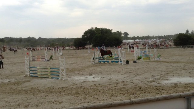 Blacky - Championnat de France - CSO Club 2 Espoirs (Jeunes Chevaux)