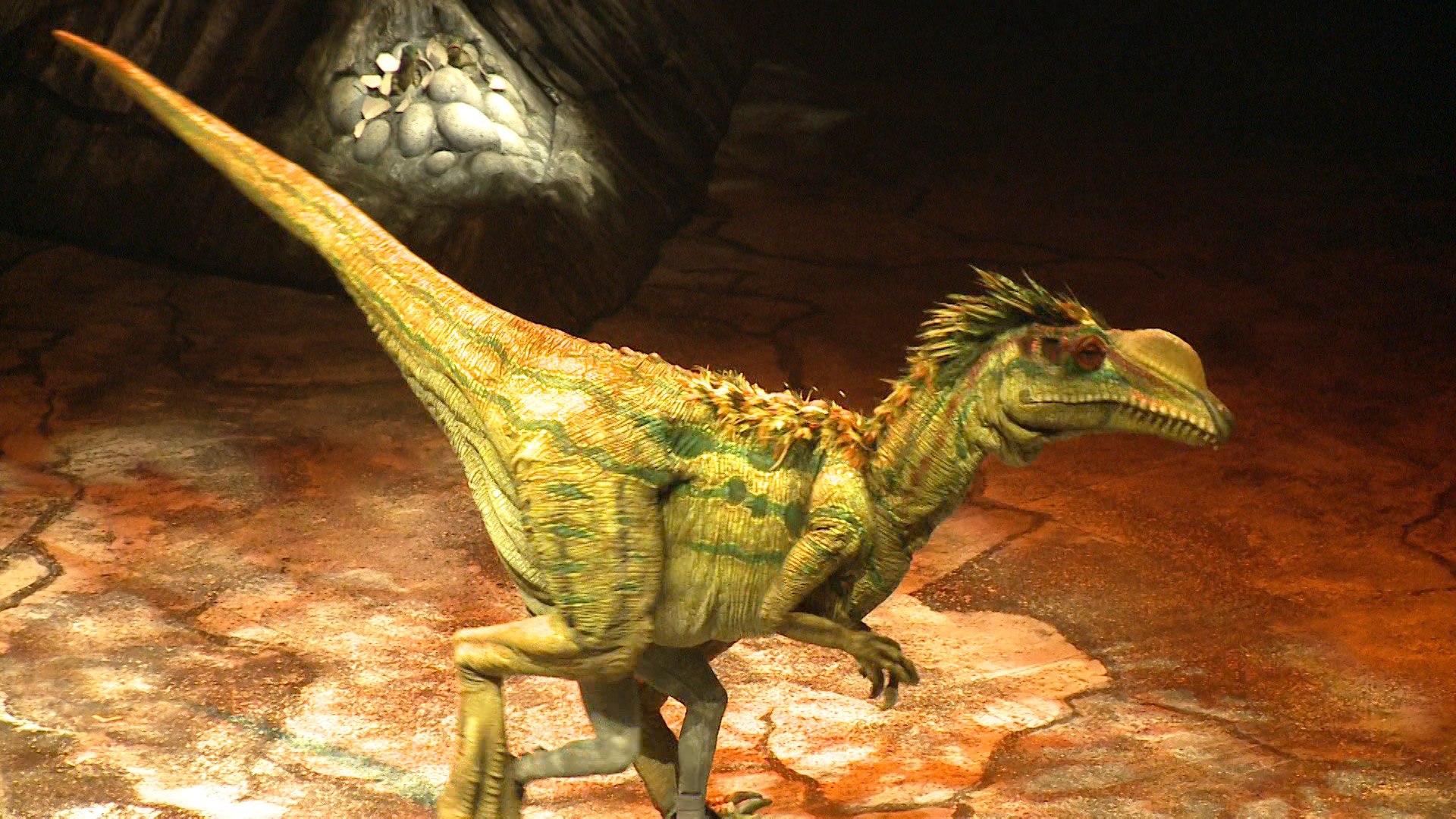La marche des dinosaures, image size:1920x1080