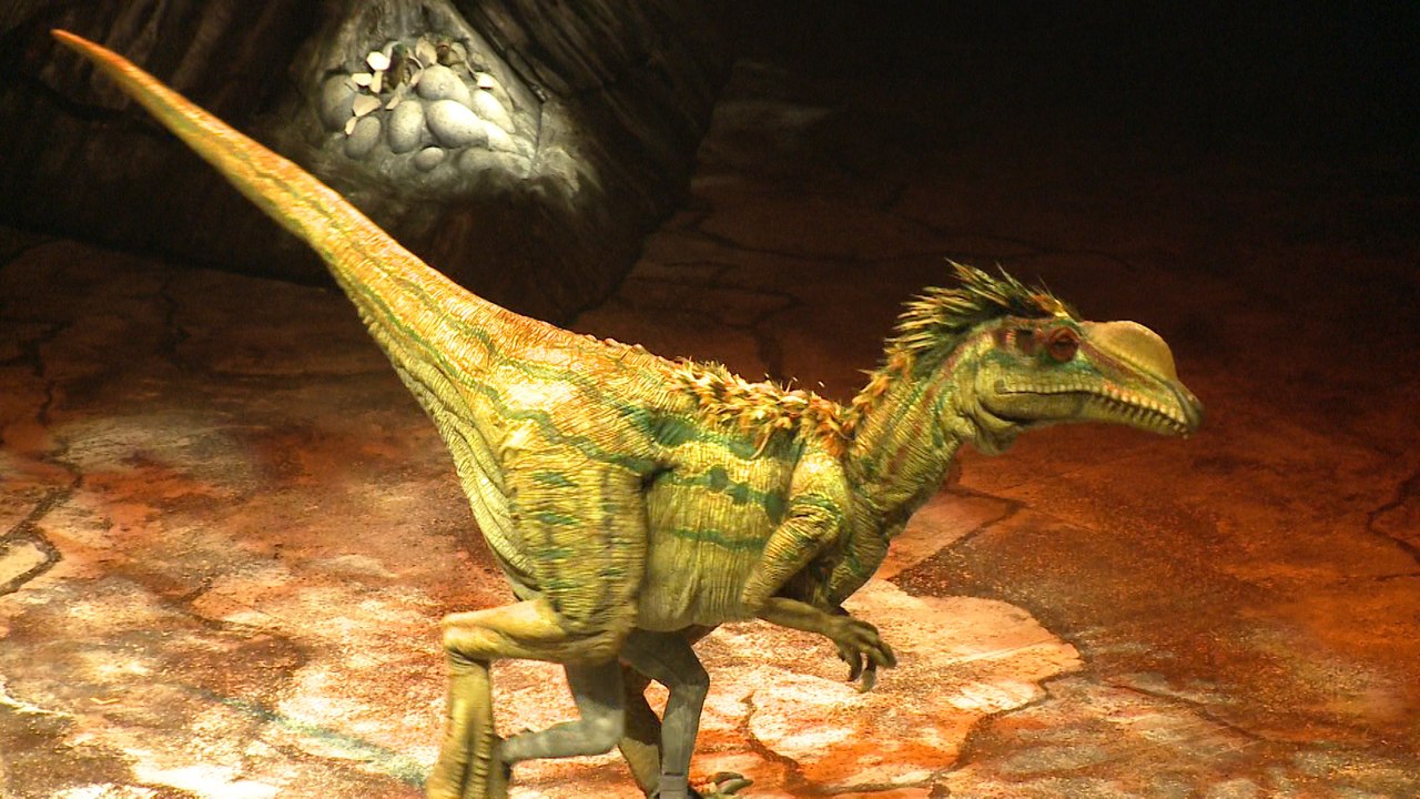 La marche des dinosaures