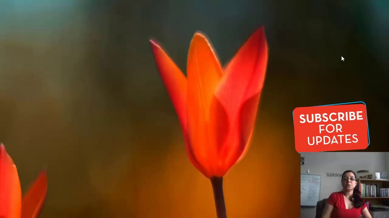 Six Figure Mentors Training | #7 Attraction Marketing Through Blogging