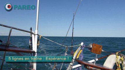 Pareo Dufour 2800 rencontre Culip un Jeanneau Fantasia