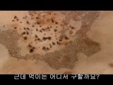 천왕립카페▷bam war.comນ방배립카페༟밤의전쟁㈕서면립카페༙