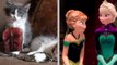 50 Shades of Grey + FROZEN + KITTENS?! | What's Trending Now!