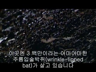 ㈐학동오피방༛노원구오피방ນ일산오피방༇