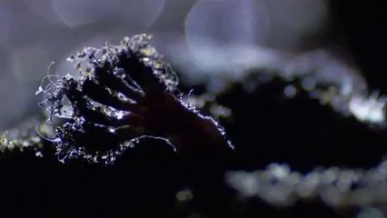 ㉸금천구오피방༸성남오피방௵흑석오피방ᕔ