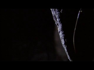 ㉯종로구오피방༾팔달구오피방༐개화오피방௵